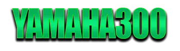 Logo YAMAHA300